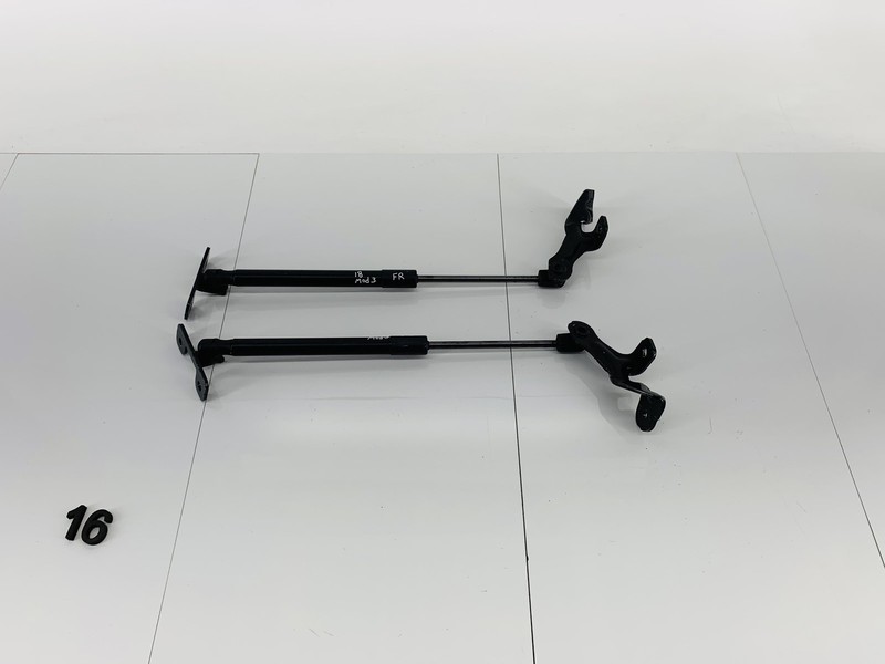 17-23 TESLA MODEL 3 FRONT RIGHT & LEFT SIDE HOOD FRUNK LIFT SUPPORT CYLINDER OEM