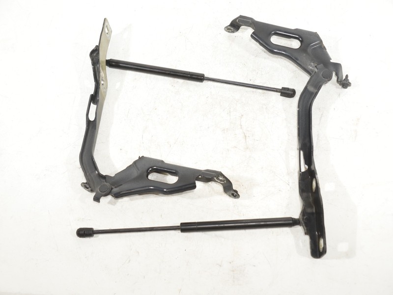 15-20 Ford F150 17-22 F250 F350 Front LEFT & RIGHT Hood Hinge Pair W/ Struts OEM
