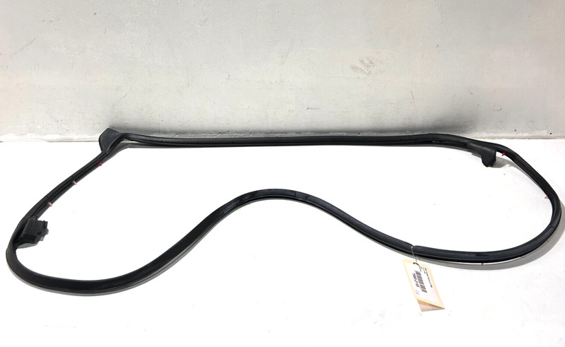 2018-2023 Toyota Camry Rear Passenger Right Door Surround Weatherstrip Seal OEM