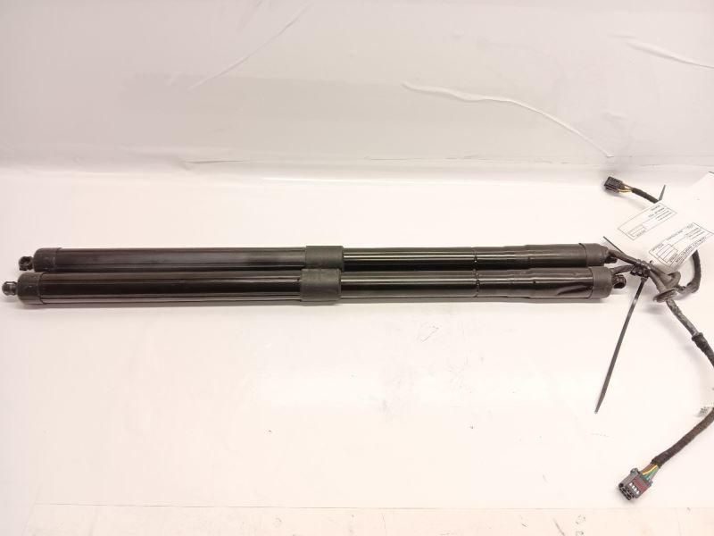 12-19 Range Rover Evoque Trunk Strut Shock Set Left Right Pair BJ3270354AD