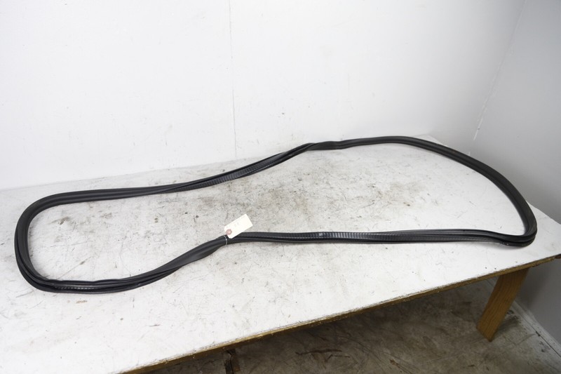 2016-2019 BMW 750i B7 G12 REAR RIGHT SIDE DOOR SHELL WEATHERSTRIP SEAL OEM