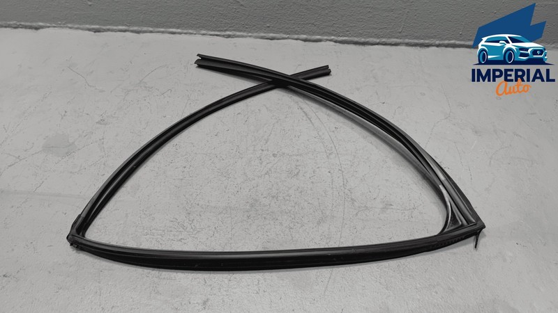 2020-25 Toyota Corolla Sedan Rear Driver Door Window Glass Run Channel Seal OEM