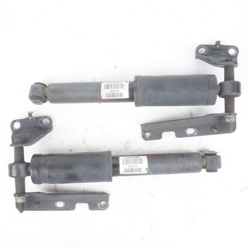 2013 - 2017 Buick Enclave Rear Left Right Side Strut Shock Absorber OEM