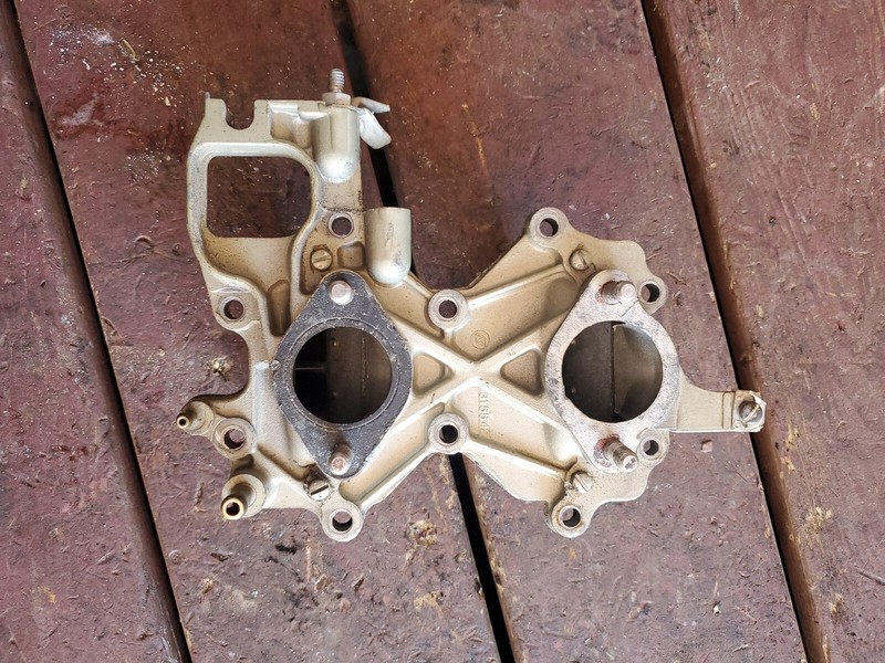 Johnson Evinrude Intake Manifold & Reeds 1971 50 HP315542 317116
