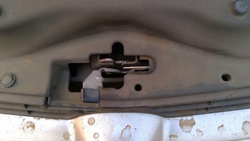 Hood Latch ACURA TL 05 06 04