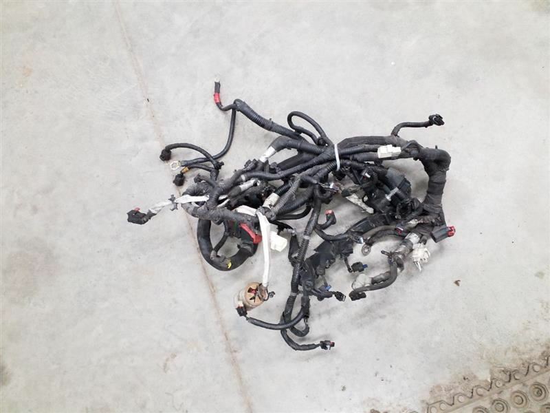 AVENGER 2014 Engine Wire Harness 242494