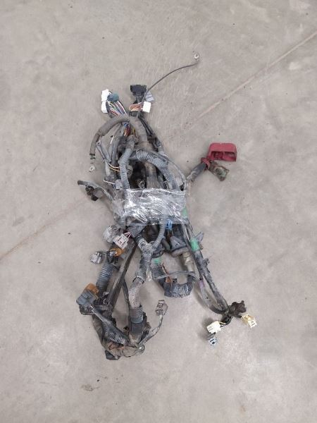 VIBE2004 Engine Wire Harness 267201