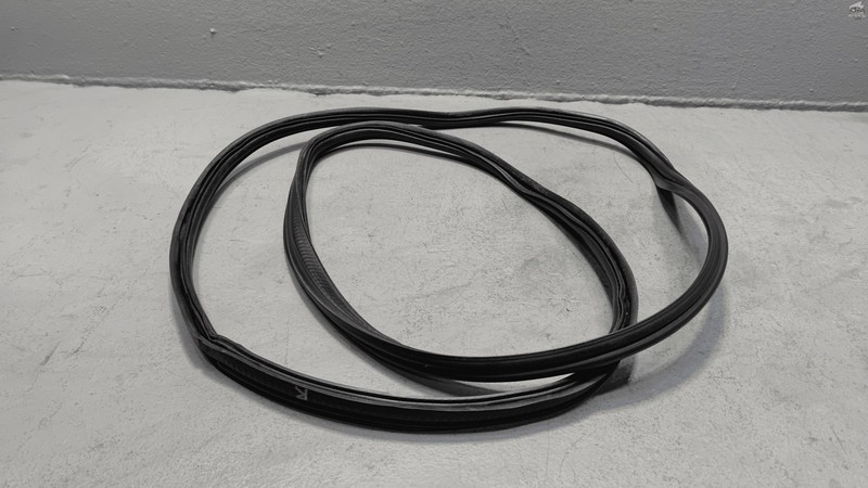 2019-2025 Altima Rear Trunk Lid Deck Lid Seal Weatherstrip OEM