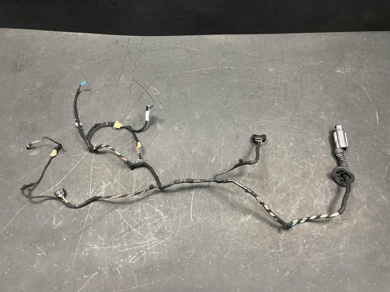 Rear Left Door Wiring Harness 2018 BMW X1 61126812217 2016 2017 2019 2020 - 2022