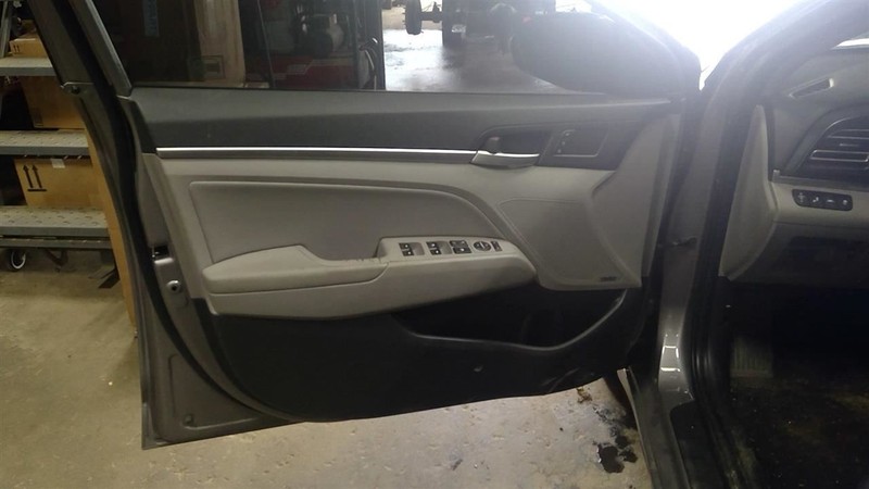 ELANTRA 2020 Drivers Left Front Door Trim Panel 1796546