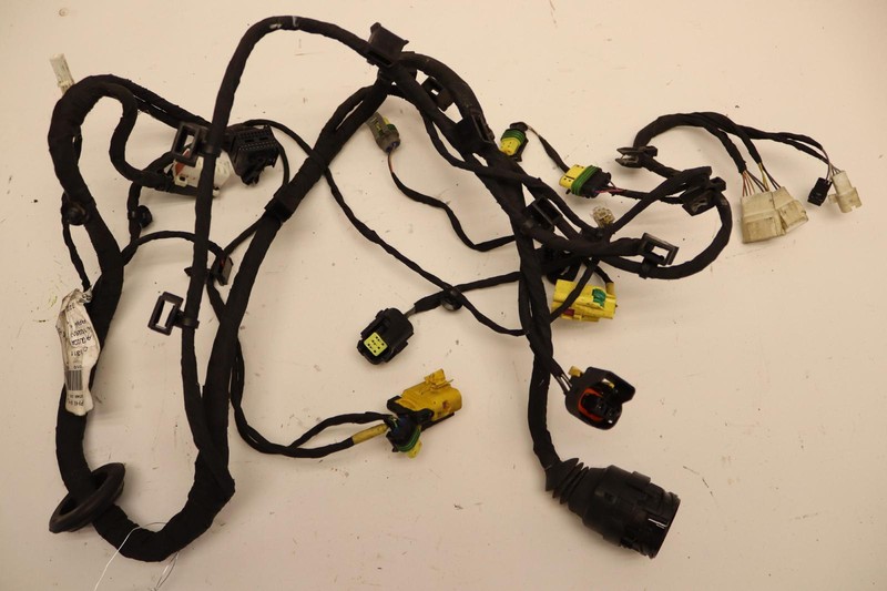 2010-2015 FERRARI 458 ITALIA LEFT DRIVER SIDE DOOR WIRE WIRING HARNESS CABLE OEM