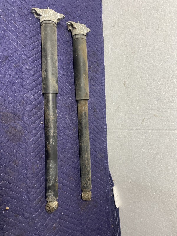 2013-2018 FORD FOCUS HATCHBACK REAR RIGHT SIDE SHOCK STRUT ABSORBER OEM