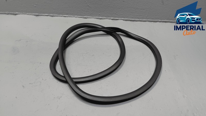 2018-2024 FREIGHTLINER CASCADIA FRONT LEFT OR RIGHT DOOR WINDOW SEAL OUTER OEM