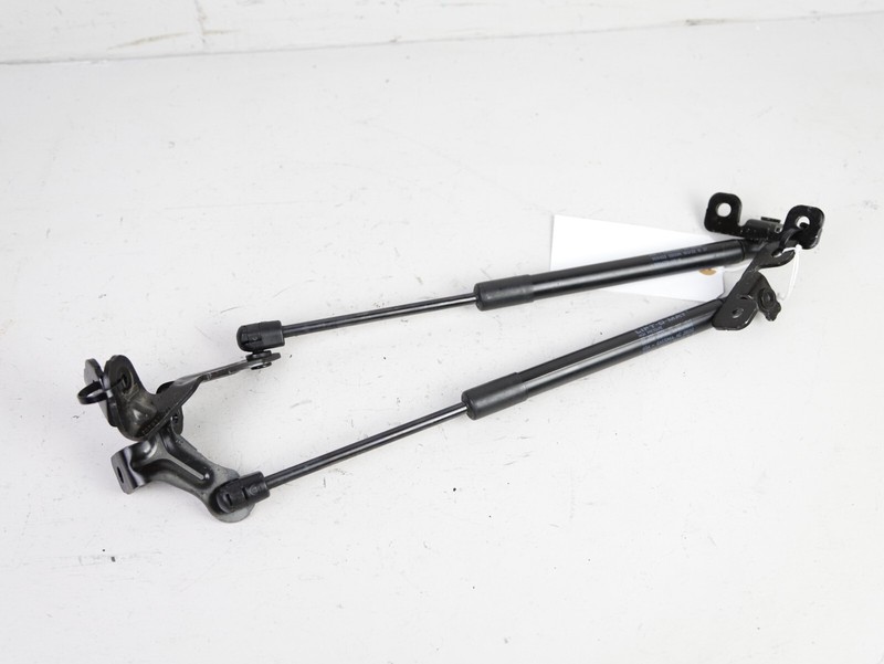 17-23 TESLA MODEL 3 RWD LEFT RIGHT BONNET HOOD STRUT 1091472-00-B OEM 18K 🚗