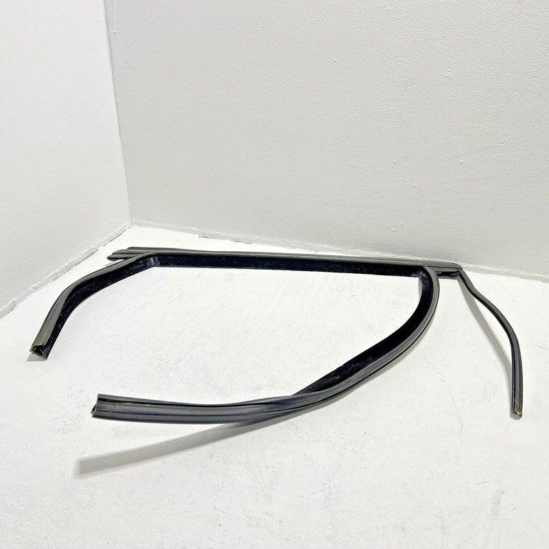 2014-2018 FORD FOCUS REAR PASSENGER DOOR WINDOW RUN CHANNEL SEAL STRIP OEM