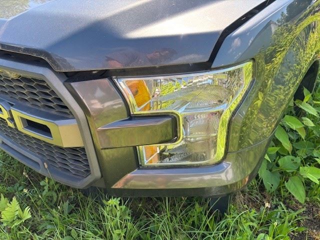 Driver Headlight Halogen Bright Background Fits 15-17 FORD F150 PICKUP 1632370