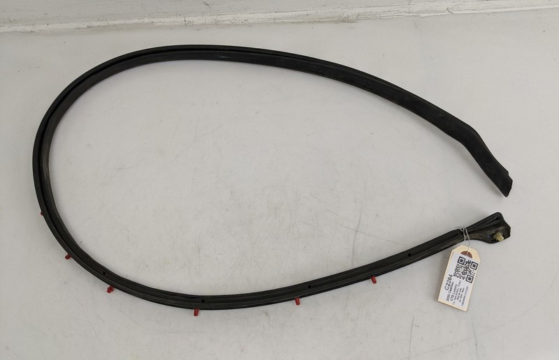 Rear Left Driver Door Lower Weatherstrip 2020 Cadillac CT5 84028334 2021 2022 23