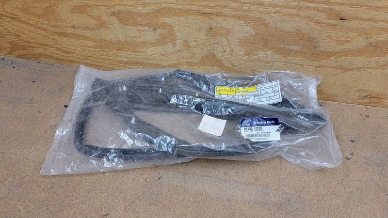 2013-2018 HYUNDAI SANTA FE REAR LEFT DRIVER SIDE DOOR WEATHERSTRIP SEAL OEM