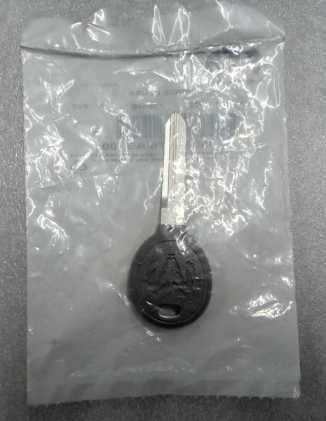 Dodge Ram Genuine Mopar 05086276AB Ignition Door Master Key New 05086276AB