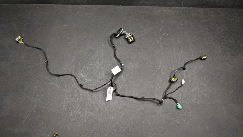 Left Driver Rear Door Wiring Harness GN15-14633 2018 Ford EcoSport 2019-2023