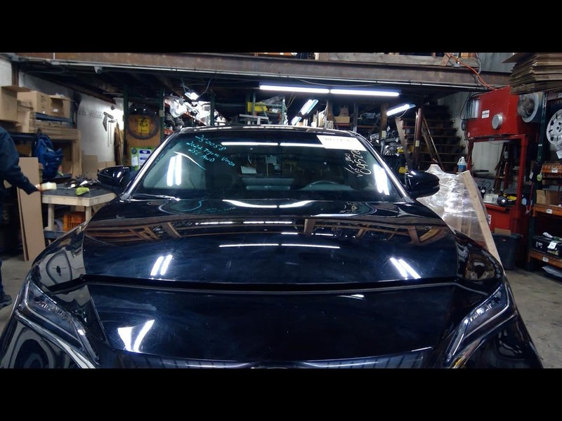 Hood Fits 21-23 VENZA 1538549