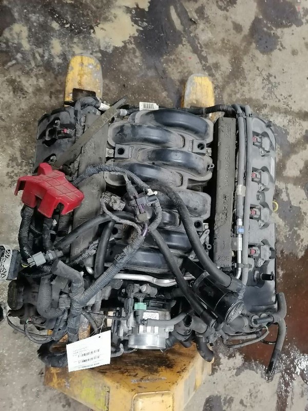 Engine 5.0L VIN F 8th Digit Fits 14 FORD F150 PICKUP 1524941