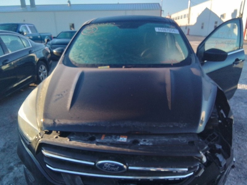 Hood Fits 17-19 ESCAPE 3425011