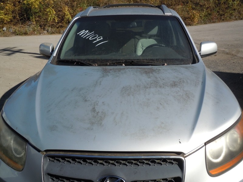 2007-2009 Hyundai Santa Fe Hood Bonnet Lid OEM SM *PAINT CHIPS/SEE NOTES*