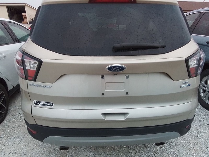 Trunk/Hatch/Tailgate Privacy Tint Glass Fits 17-19 ESCAPE 3487424