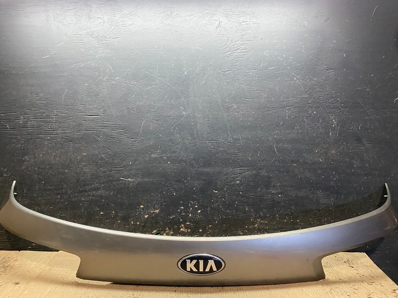 2016 to 2020 Kia Sorento Rear Trunk Liftgate Camera Cover Panel Oem X8248 DG