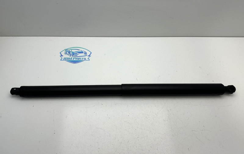 2015-2018 FORD EDGE REAR RIGHT PASSENGER SIDE TRUNK LIFTGATE CYLINDER STRUT OEM