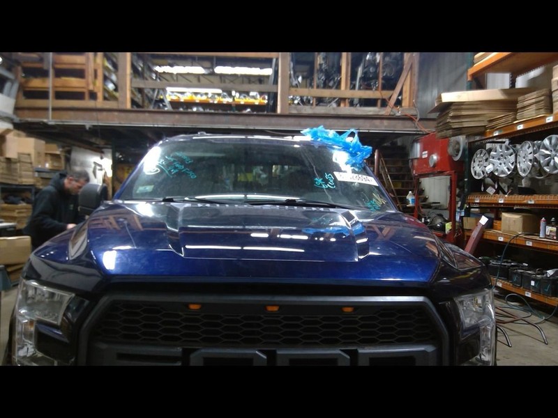 Hood Fits 15-20 FORD F150 PICKUP 1530567