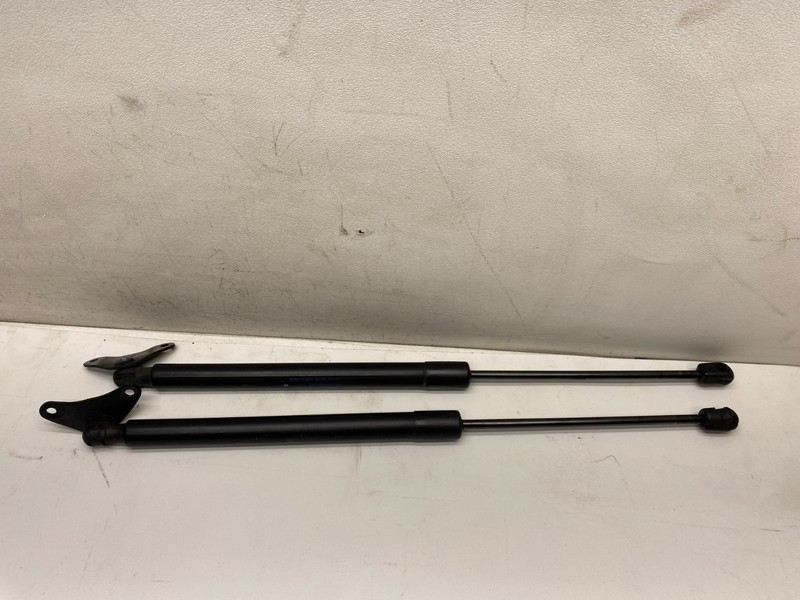 2009-2017 VOLKSWAGEN TIGUAN REAR HATCH LIFTGATE STRUT SHOCK SUPPORT SET PAIR OEM