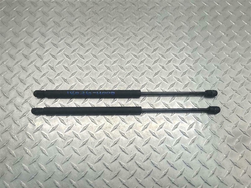1999-2007 FORD F250SD F350SD HOOD STRUTS PAIR SET OF 2 OEM F81B-16C826-AC