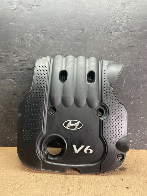 2006 - 2009 Hyundai Santa Fe V6 Engine Motor Cover OEM Z3380 DG
