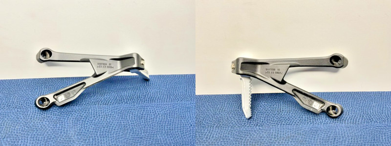 20-26 BMW S1000R M1000R Rear Right & Left "M" Pillion Footrest Holder Pegs OEM
