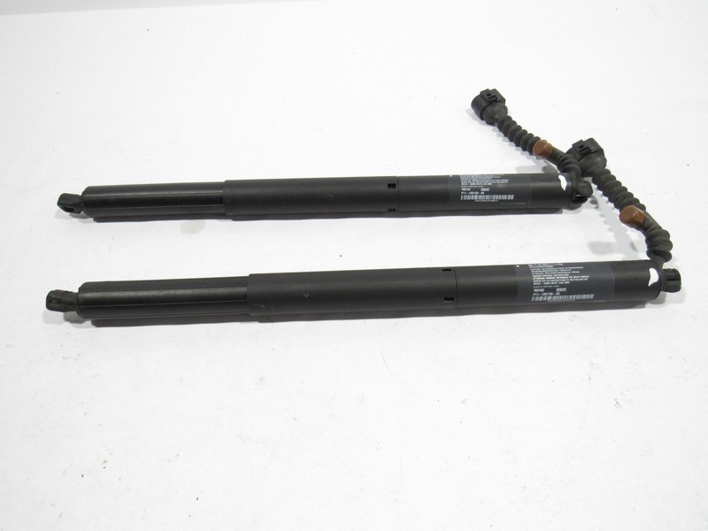 Lucid Air Touring 2023 Rear Trunk Lid Lift Strut Shock Set 2 PCS 22-25 ;:O