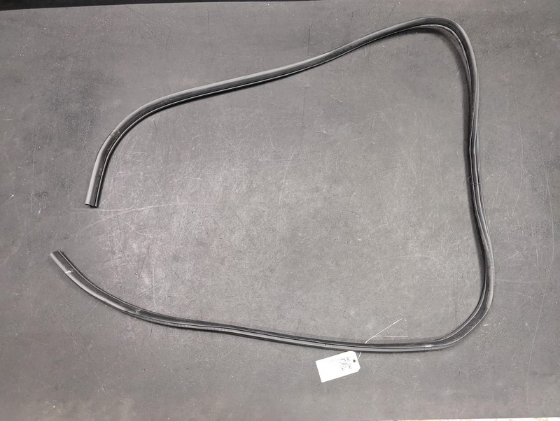Rear Left or Right Door Body Weatherstrip 2020 Nissan Sentra 76924-6LE0A 21-23 X