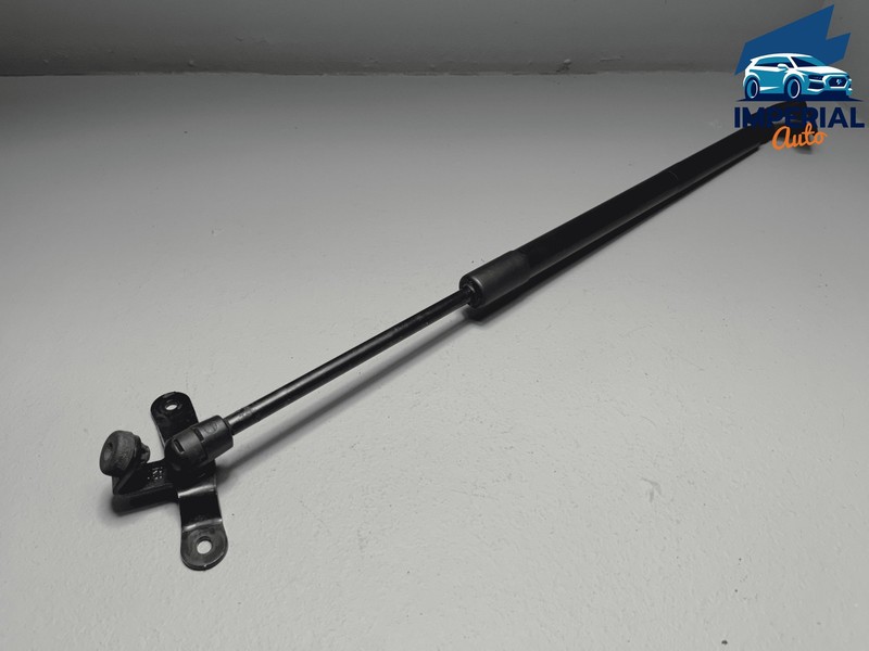 2019-2025 TOYOTA RAV4 REAR PASSENGER SIDE LIFTGATE SHOCK STRUT LIFT SUPPORT OEM
