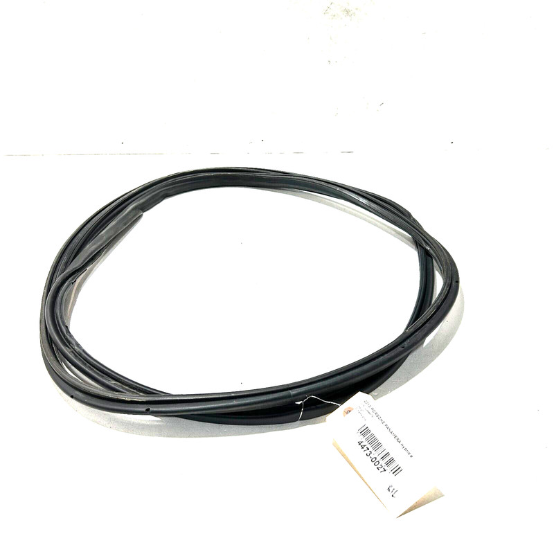 PORSCHE PANAMERA 2010-2016 REAR LEFT DRIVER SIDE DOOR BODY WEATHERSTRIP SEAL OEM