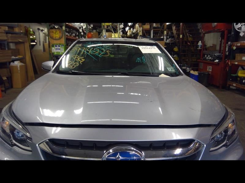 Hood Fits 2020-2023 LEGACY 1 Repaint 1443871