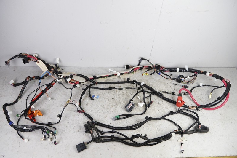 2017-2020 TESLA MODEL 3 MAIN BODY RIGHT PASSENGER SIDE WIRE WIRING HARNESS OEM