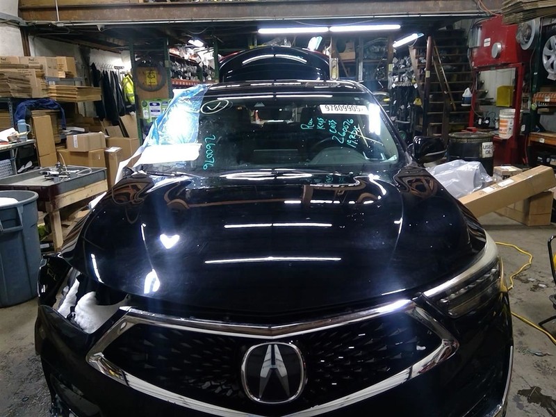 Hood Fits 19-24 RDX 1760094
