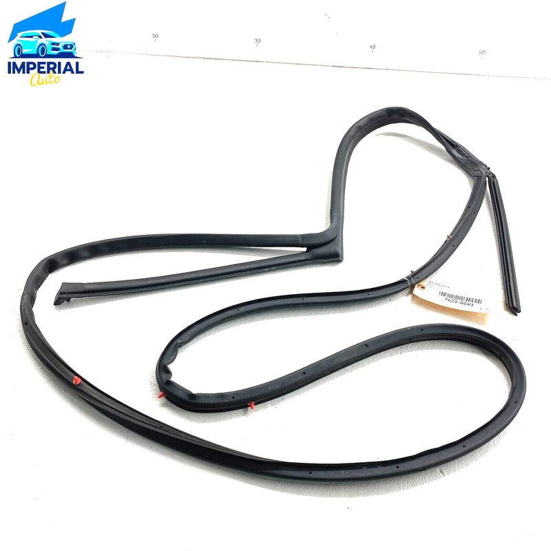 KIA K5 EX 2021 - 2023 REAR LEFT DRIVER SIDE DOOR WEATHERSTRIP SEAL OEM