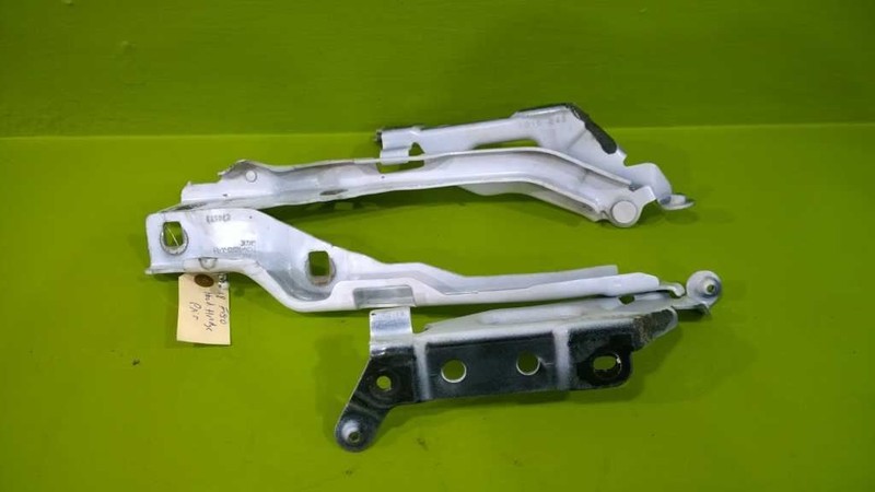 15-20 F150 LIMITED HOOD HINGE SET PAINT CODE: UG OEM 3446-122