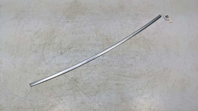 Rear Left Door Reveal Molding 2020 Cadillac CT5 84028383 2021 2022 2023 - 2025