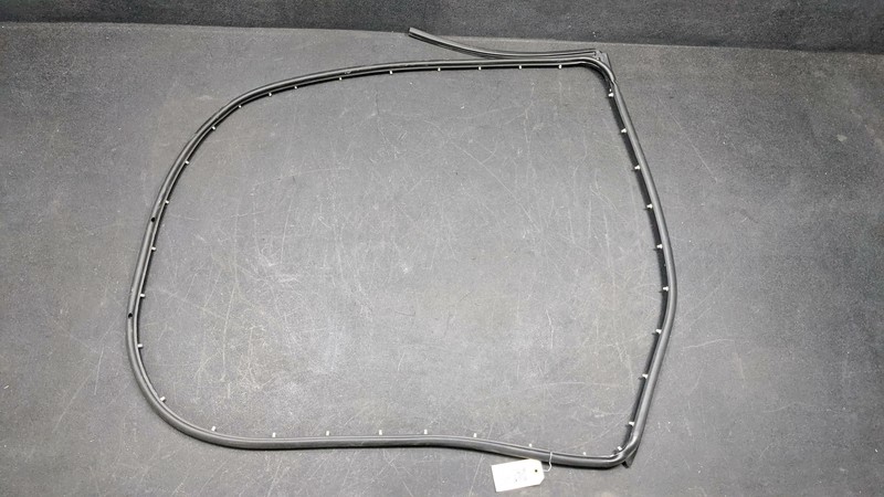 Right Passenger Rear Door Weatherstrip CN15-N253A10 2018 Ford EcoSport 2019-2021