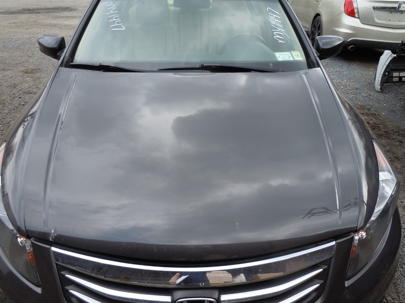 2008-2012 Honda Accord 2.4L Sedan Hood Bonnet Lid OEM Prop Rod YR587M