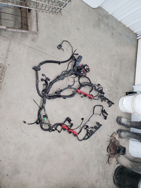 Q5 AUDI 2009 Engine Wire Harness 308895