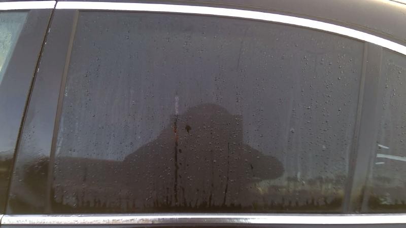 Rear Door Glass/window BMW 530I Left 04 05 06 07